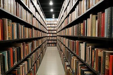 Image of bookshelves lined with books